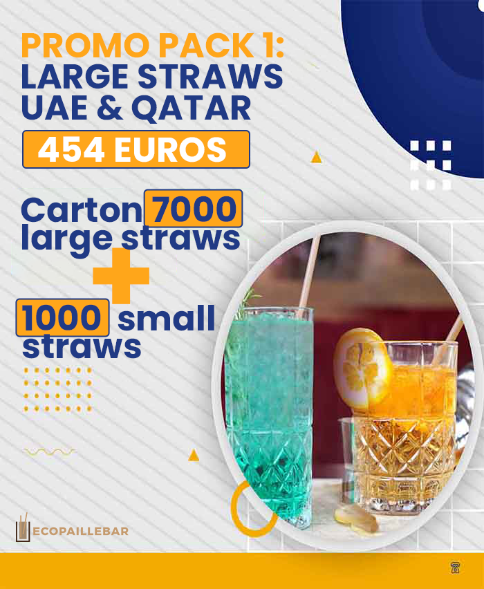 PROMO PACK 1: LARGE STRAWS UAE & QATAR- 454 EUROS Carton 7000 large straws + 1000 small straws