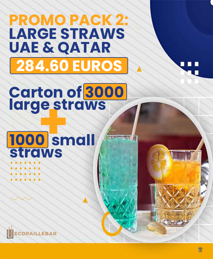 PROMO PACK 2: LARGE STRAWS UAE & QATAR- 284.60 EUROS Carton of 3000 large straws + 1000 small traws